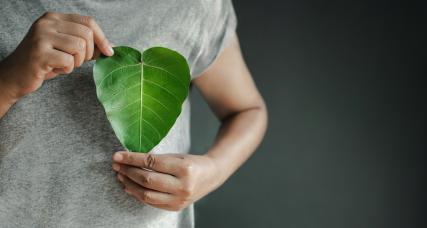 Nos engagements pour la planète
