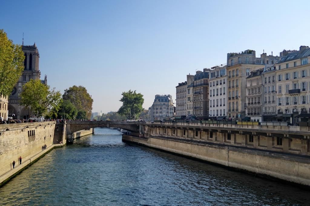 Why Choose a Left Bank Hotel to Explore Paris on Foot This Summer?
