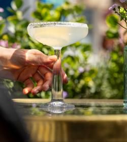 S.A.S OBSERVATOIRE LUXEMBOURG