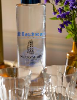 S.A.S OBSERVATOIRE LUXEMBOURG